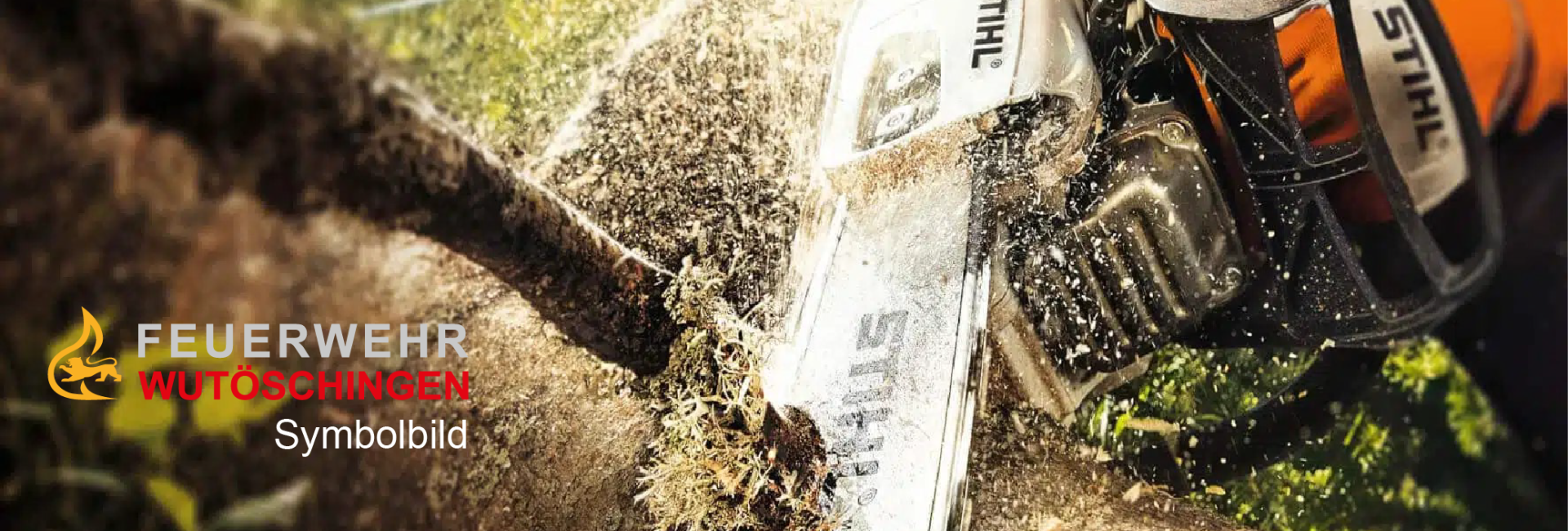 Baumfällarbeiten Symbolbild