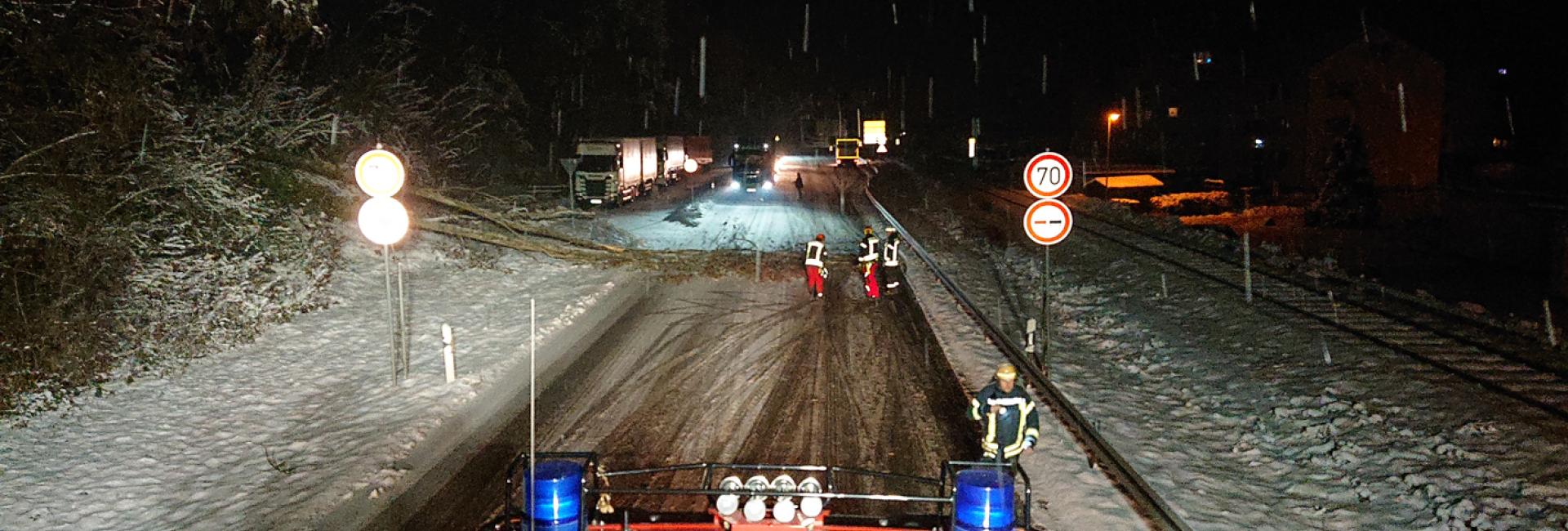 Schneebruch B314, Höhe Wutöschingen