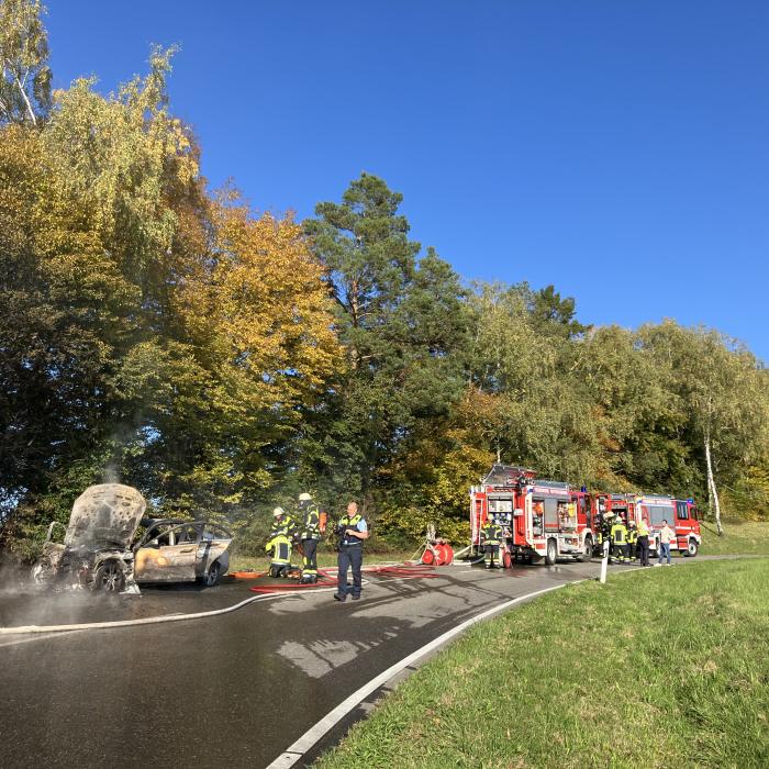 PKW Brand_11.10.2025, L163a Erzingerstrasse