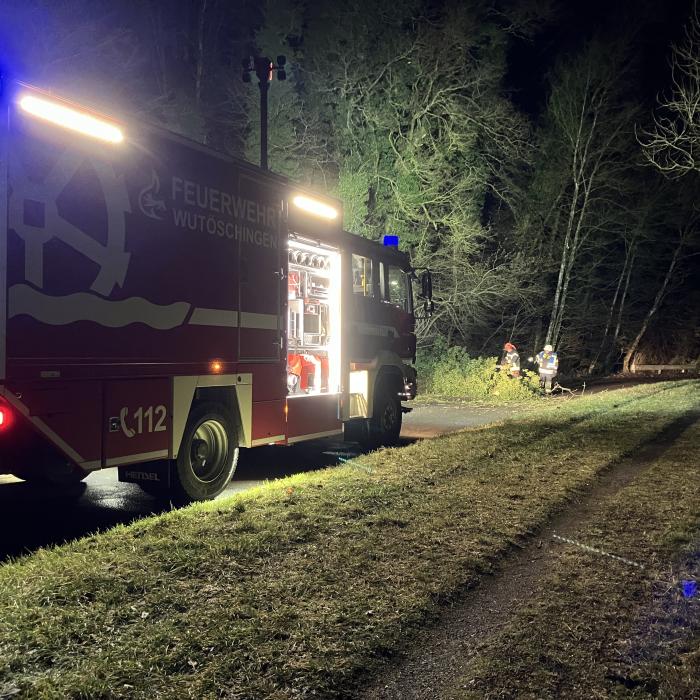 Baum auf Straße am Wutachdamm, Höhe Kläranlage