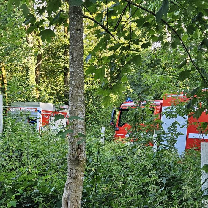 Baumgießaktion in Horheim