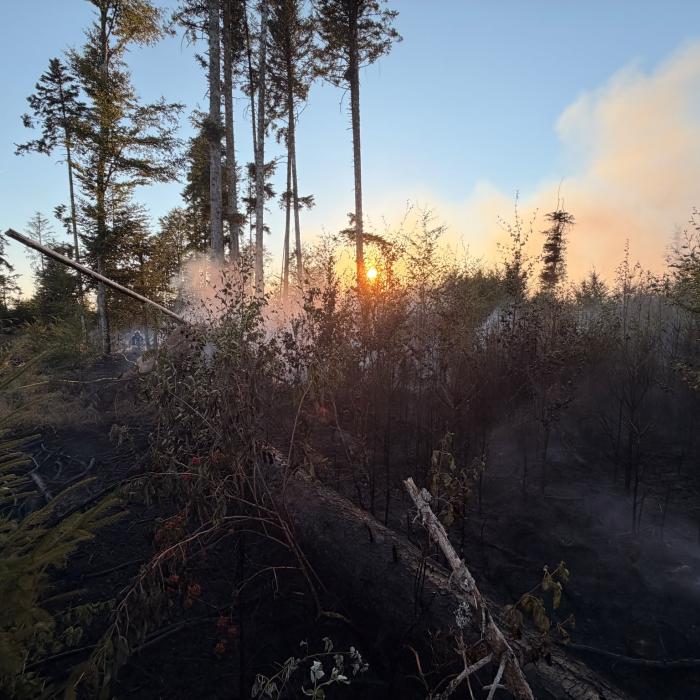 Einsatz Flächenbrand 13.08.2026