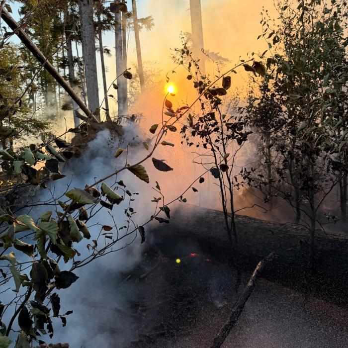 Einsatz Flächenbrand 13.08.2026